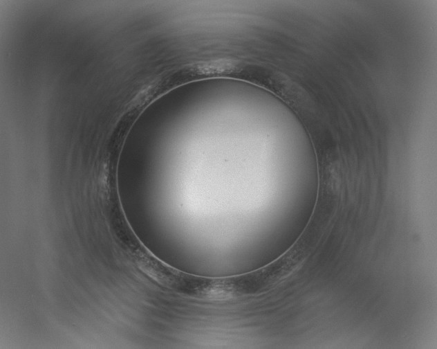 X0000054380308200508121613