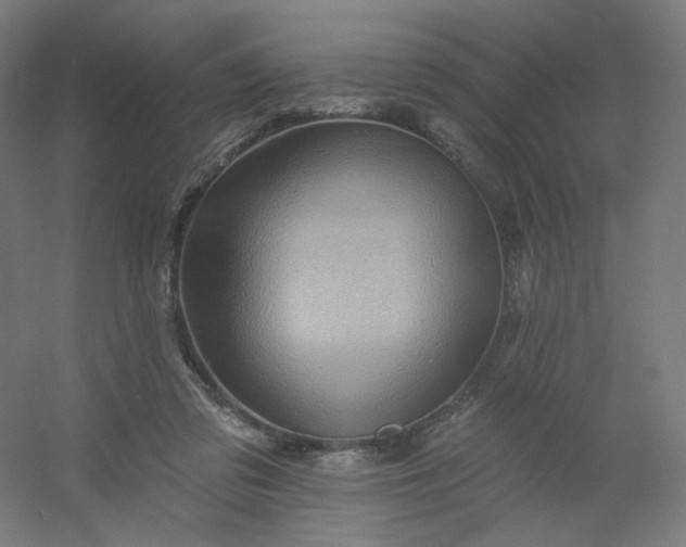 X0000054380309200508121613