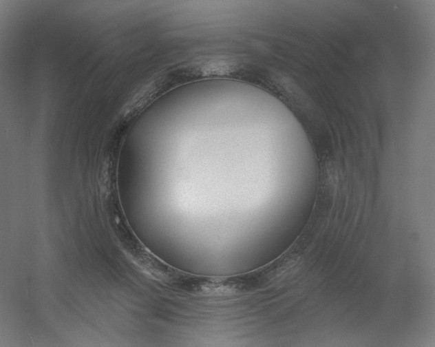 X0000054380311200508121613