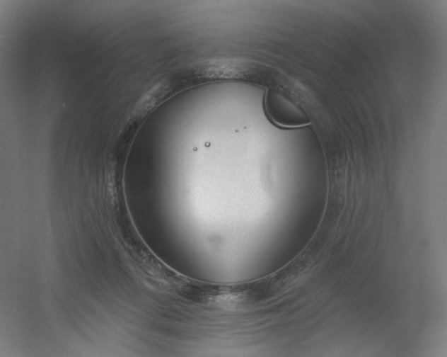 X0000054380312200508121613