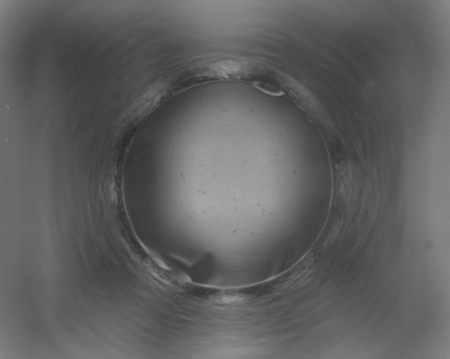 X0000054380313200508121613