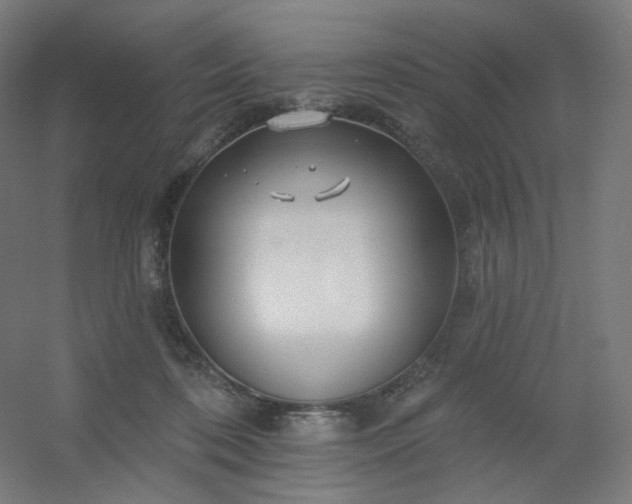 X0000054380316200508121613