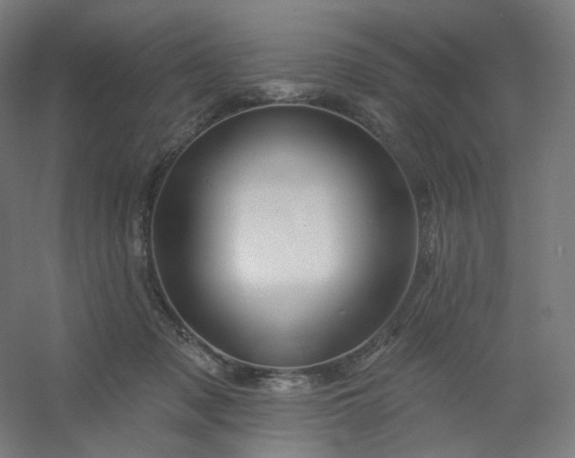 X0000054380317200508121613