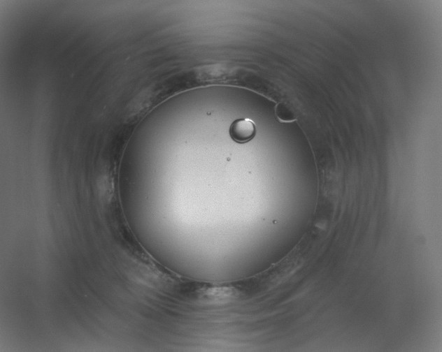 X0000054380324200508121613