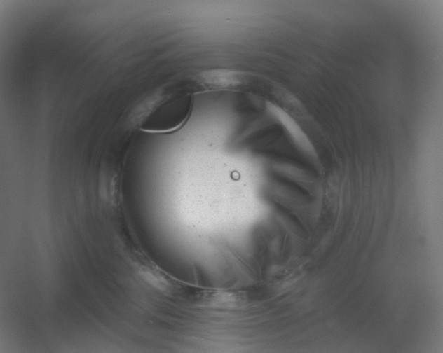 X0000054380330200508121613