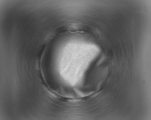 X0000054380331200508121613