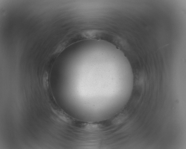 X0000054380332200508121613