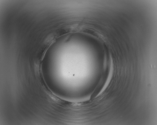 X0000054380333200508121613