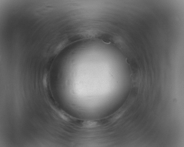 X0000054380334200508121613