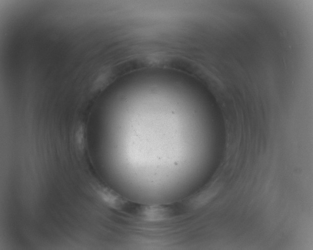 X0000054380336200508121613