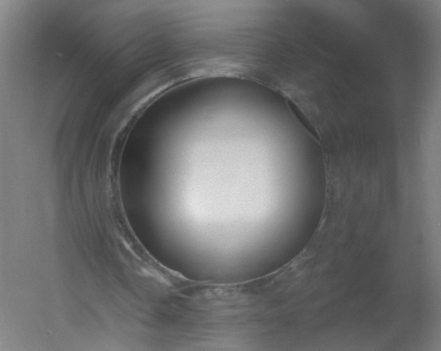 X0000054380338200508121612