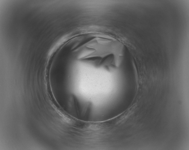 X0000054380341200508121612