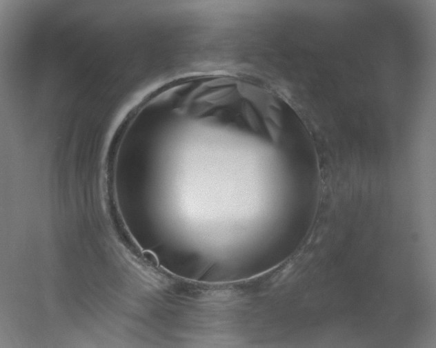 X0000054380342200508121612
