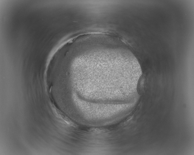 X0000054380343200508121612