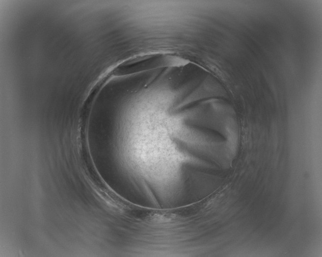 X0000054380346200508121612