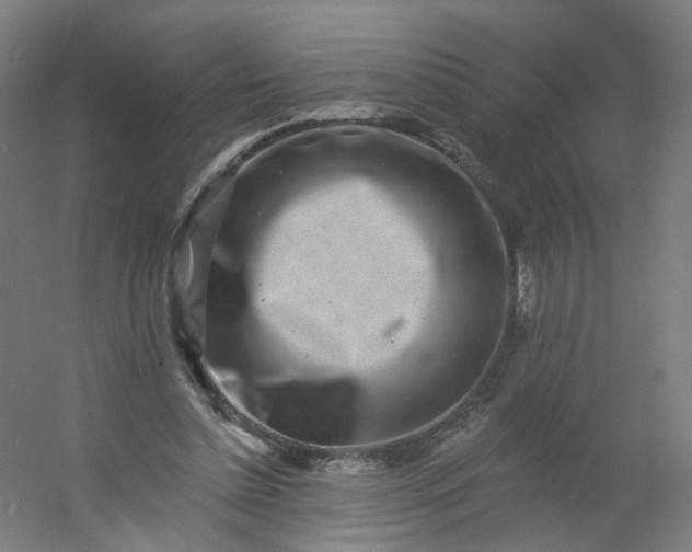 X0000054380348200508121612