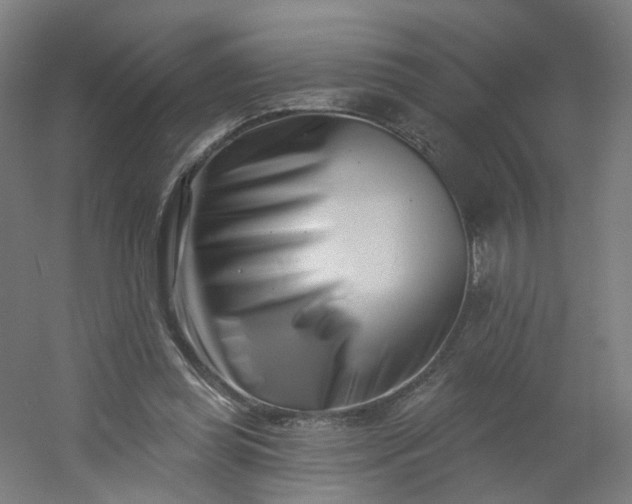 X0000054380349200508121612