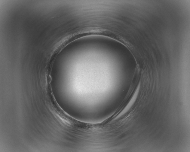 X0000054380350200508121612