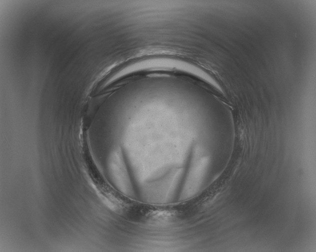 X0000054380352200508121612