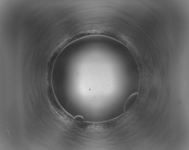 X0000054380354200508121612