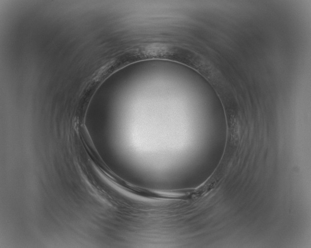 X0000054380356200508121612
