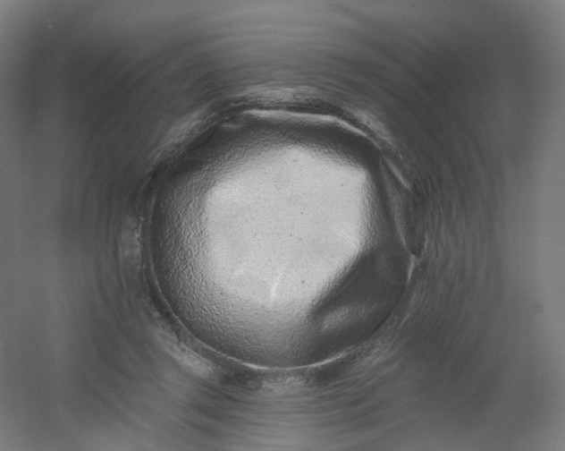 X0000054380357200508121612