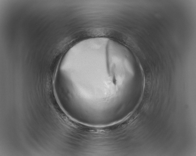 X0000054380359200508121612