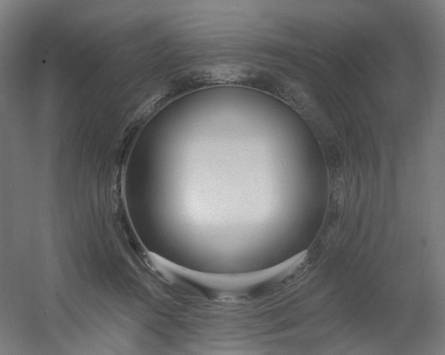 X0000054380360200508121612