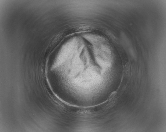 X0000054380361200508121612