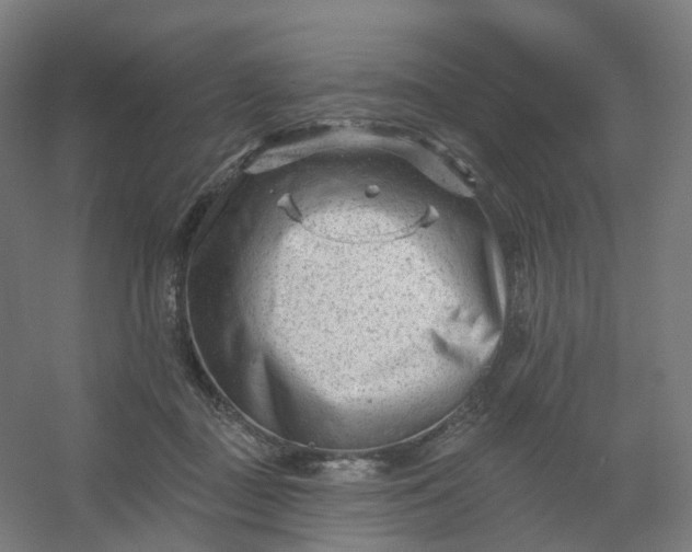 X0000054380363200508121612