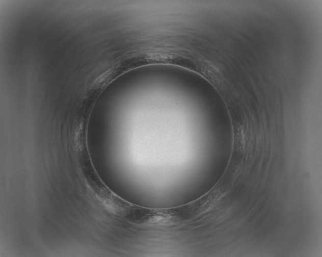 X0000054380364200508121612