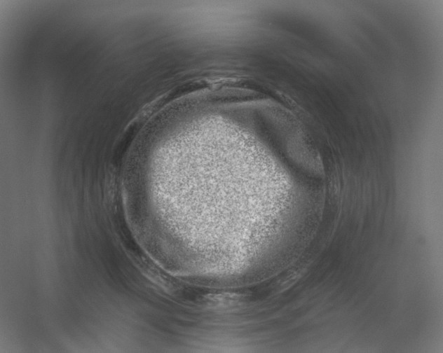 X0000054380367200508121612
