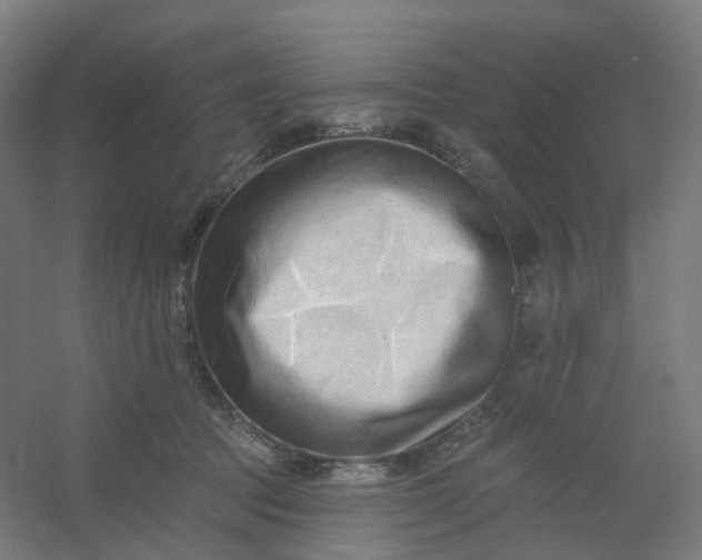 X0000054380369200508121613
