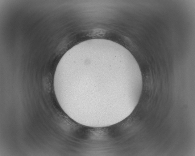 X0000054380370200508121613
