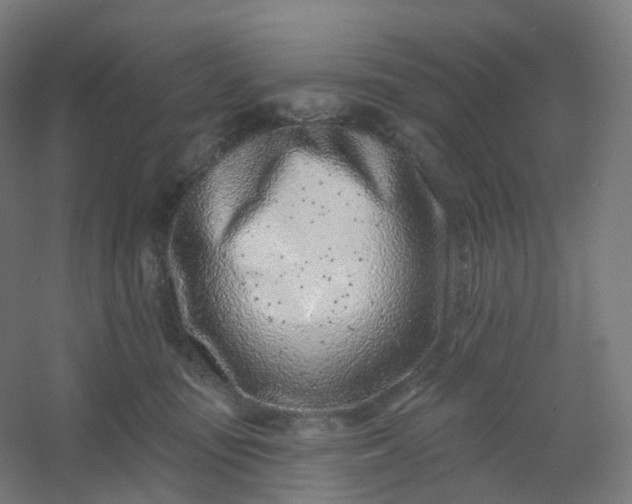 X0000054380371200508121613