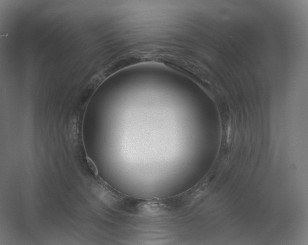 X0000054380372200508121613