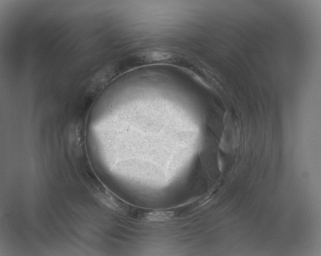 X0000054380373200508121613