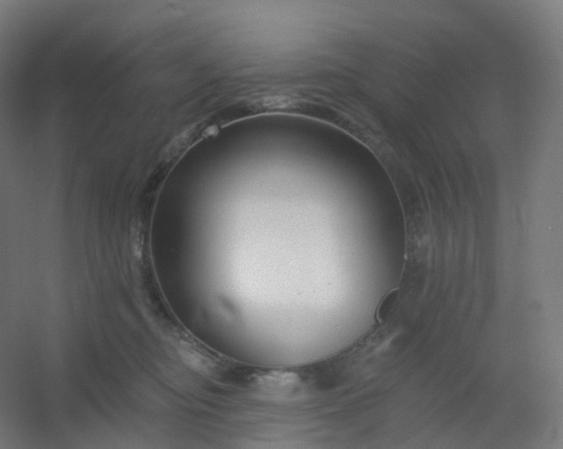 X0000054380374200508121613
