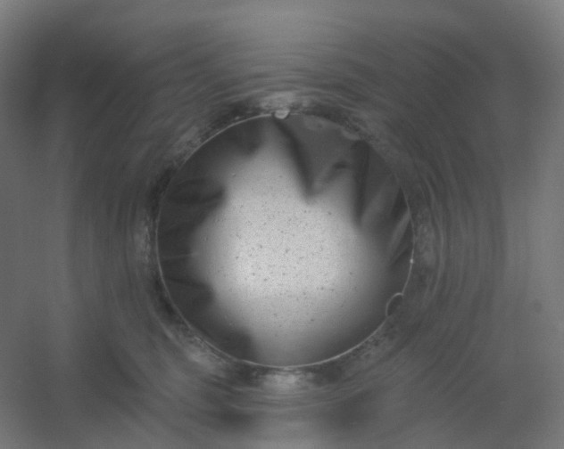 X0000054380375200508121613