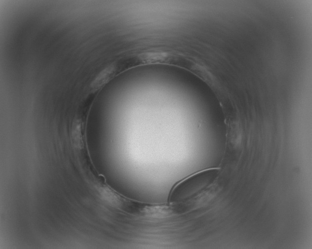 X0000054380378200508121613