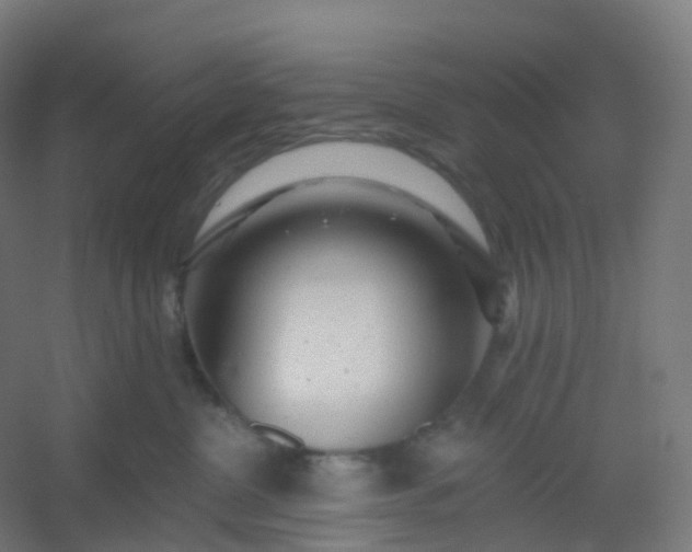 X0000054380380200508121613