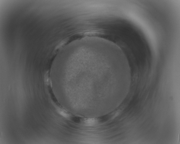 X0000054380383200508121613