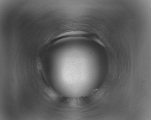 X0000054380384200508121613