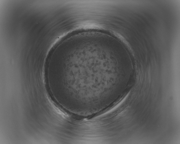 X0000054380391200508121612