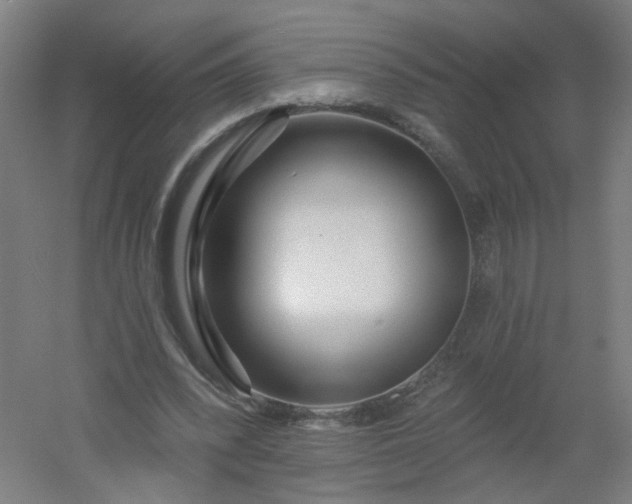 X0000054380392200508121612