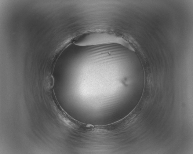 X0000054380393200508121612
