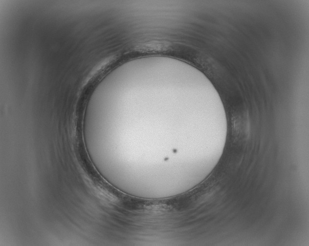 X0000054380396200508121612
