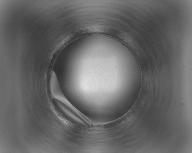 X0000054380398200508121612