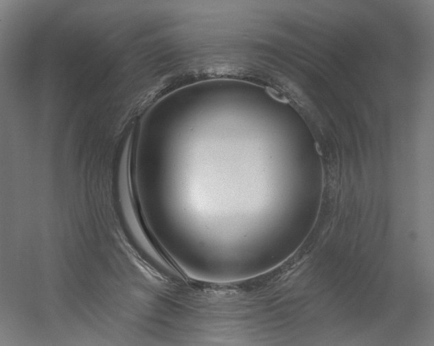 X0000054380401200508121612