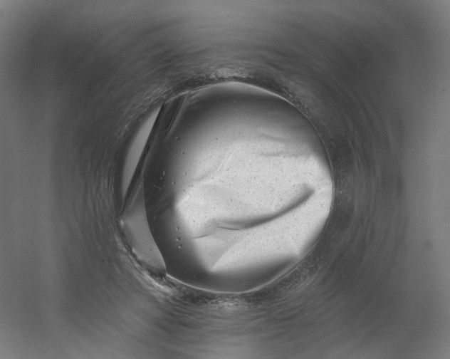 X0000054380402200508121612